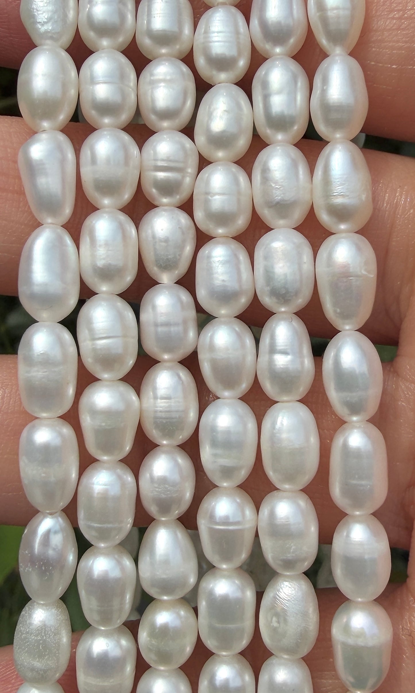 6 PCs 6 pcs ~5.5mm Natural Freshwater Pearl Necklace Healing Energy