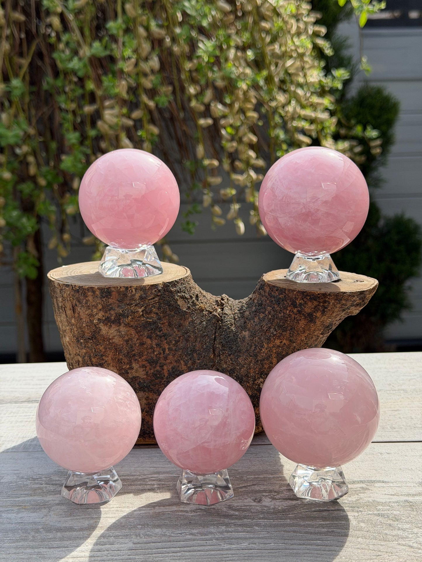 Wholesale Lot 5 PCs Natural Rose Quartz Spheres Crystal Ball very nice quality 3.9-4lbs