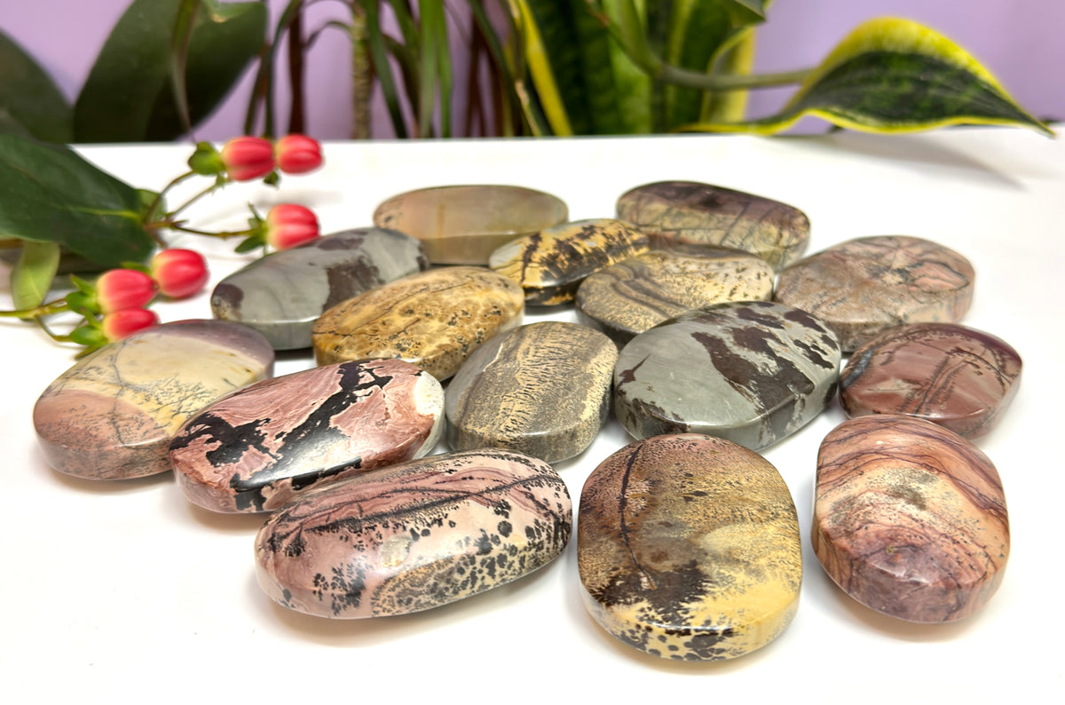 Wholesale 2 Lb Lot Natural Picture Jasper Palm Stones Crystal Natural Energy