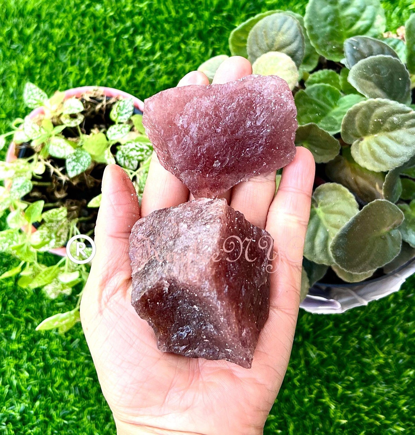 Wholesale Lot 2 Lbs Natural Raw Strawberry Quartz Crystal Nice Quality