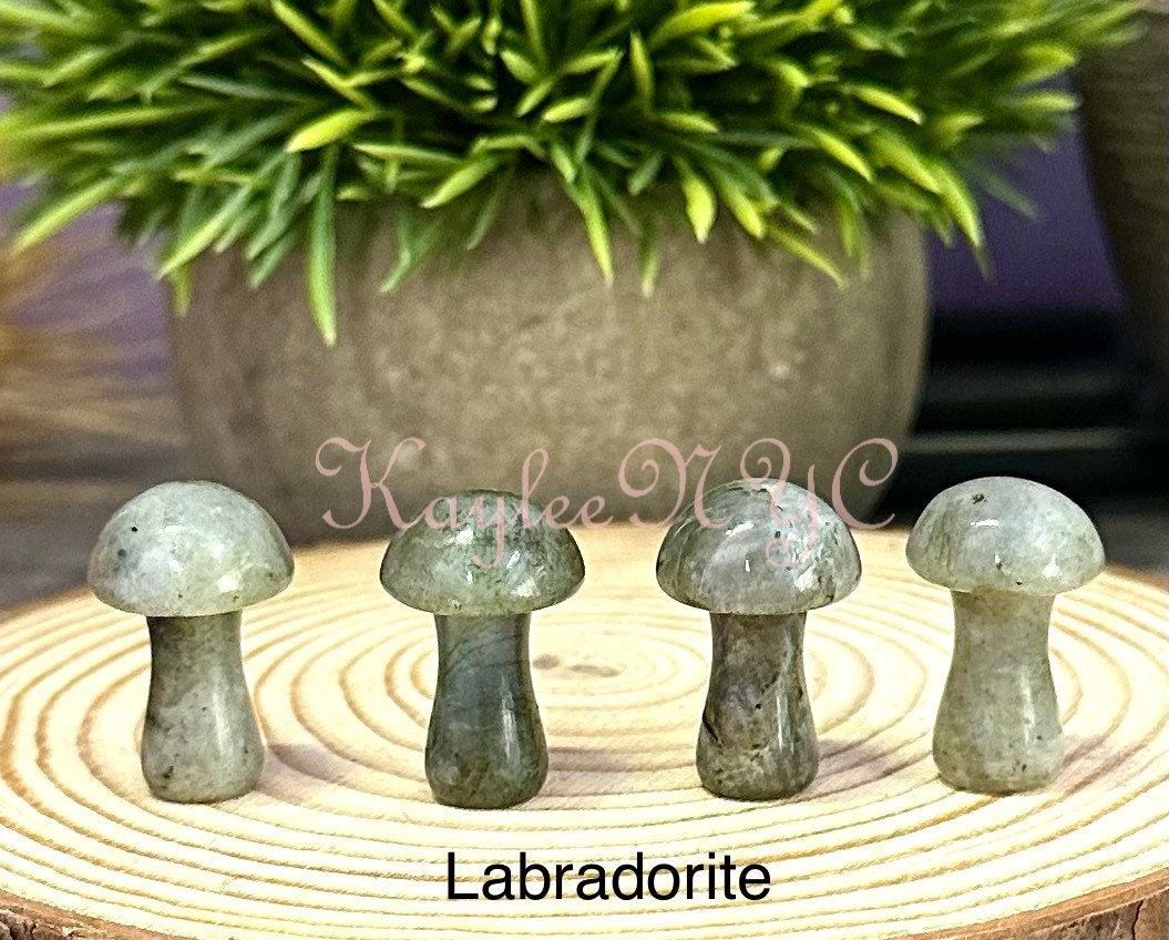 Wholesale Lot 16 PCs Mixed 1” Crystal Mushroom Healing Energy