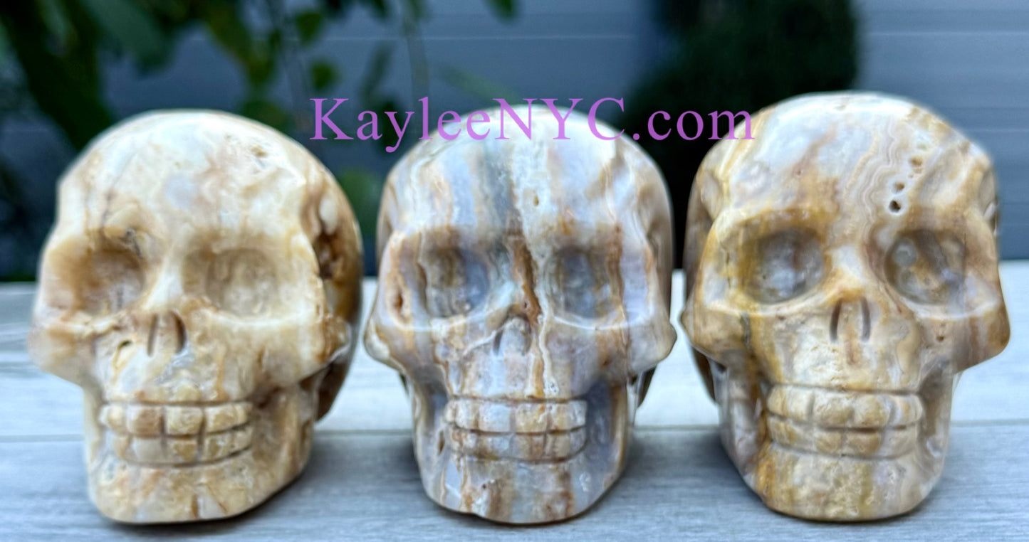 Wholesale lot 3 Pcs Natural Crazy Lace Agate Crystal Skull