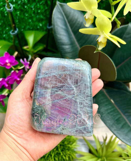Wholesale Lot 6-8 Pcs Natural Sunset Labradorite Free Form Crystal 3.9-4 lbs