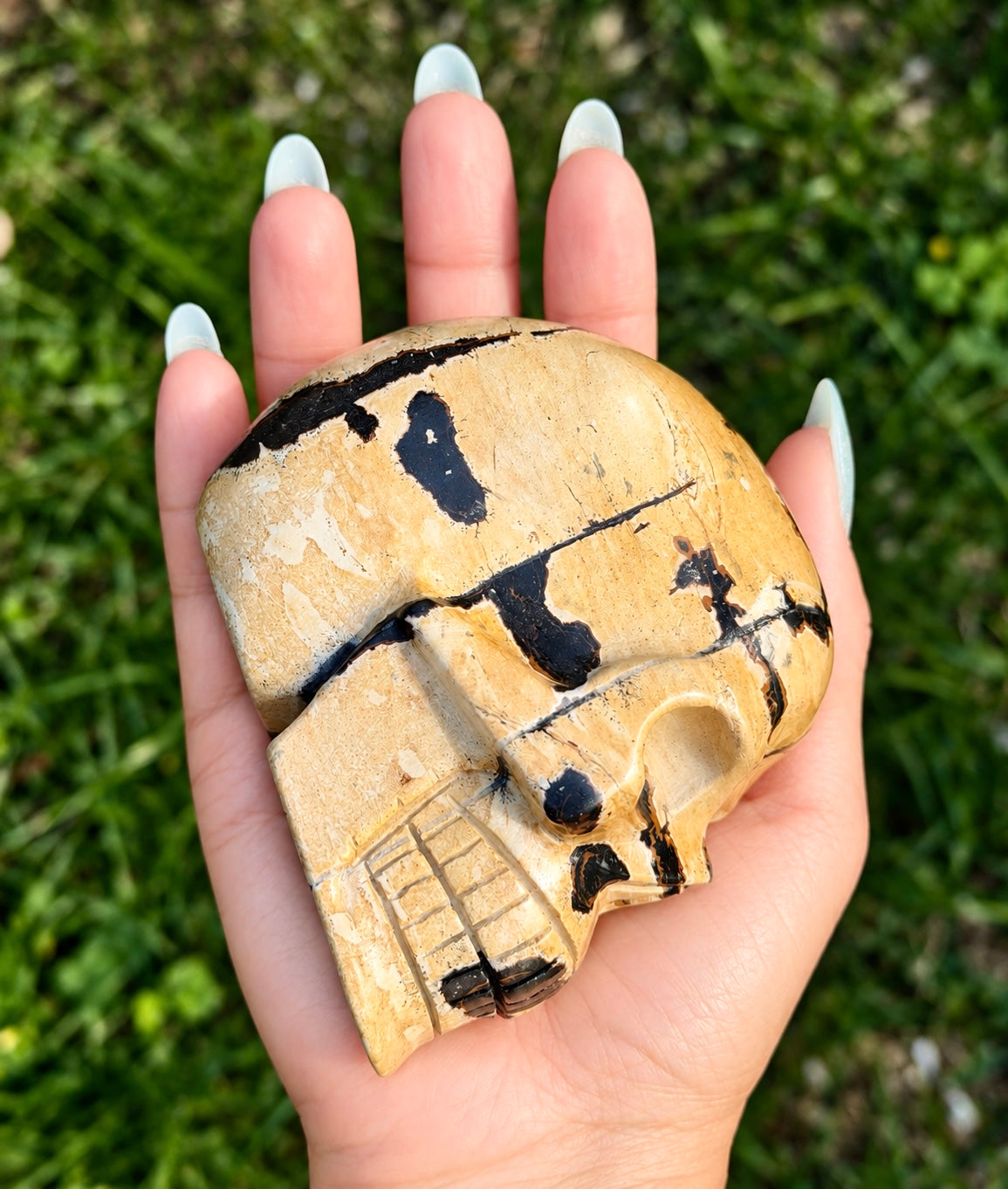 Wholesale lot 3 Pcs Natural Picture Jasper Crystal Skulls Healing Energy
