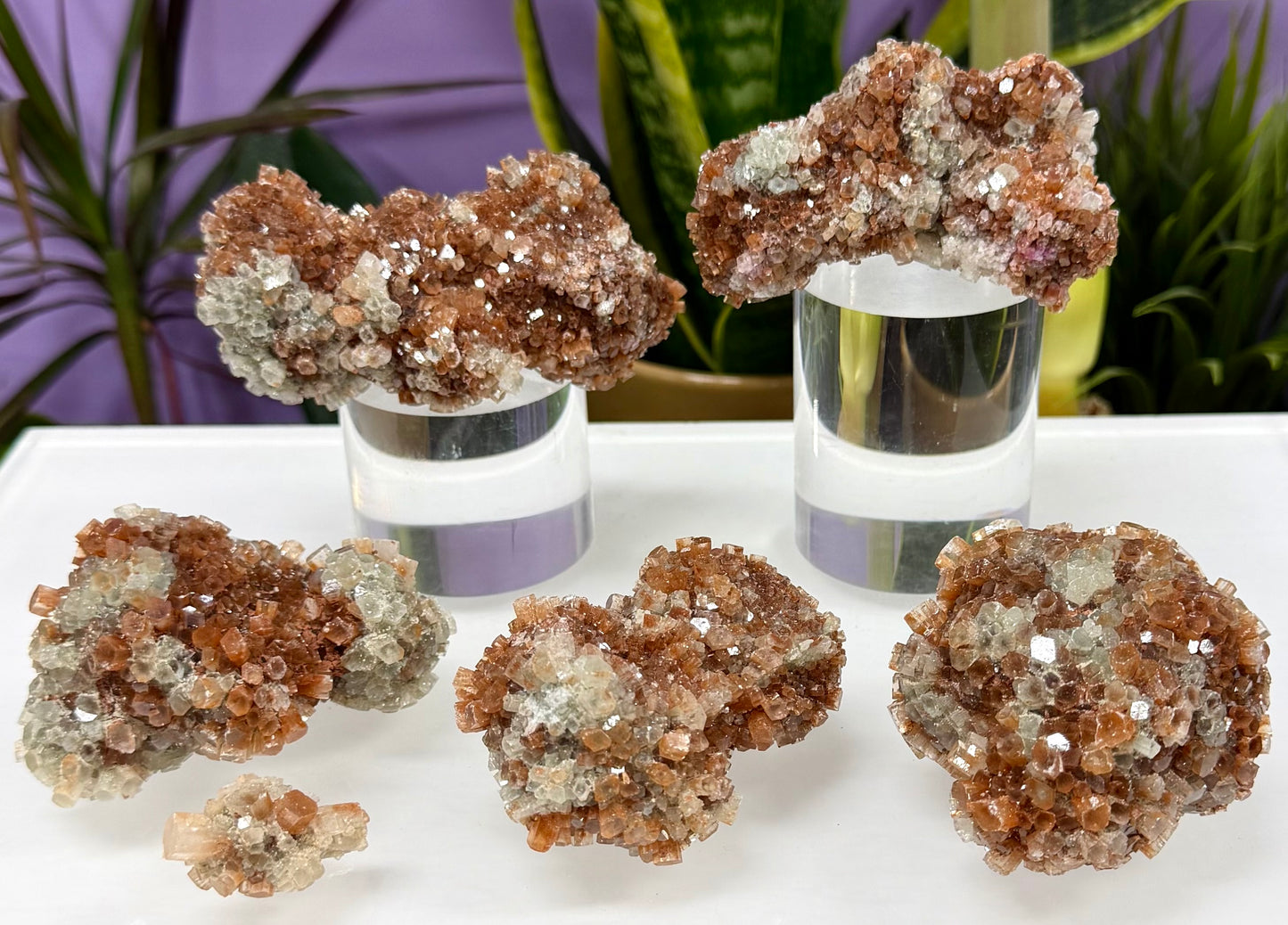 Wholesale Lot 2 lb Natural Aragonite Cluster Raw Crystal