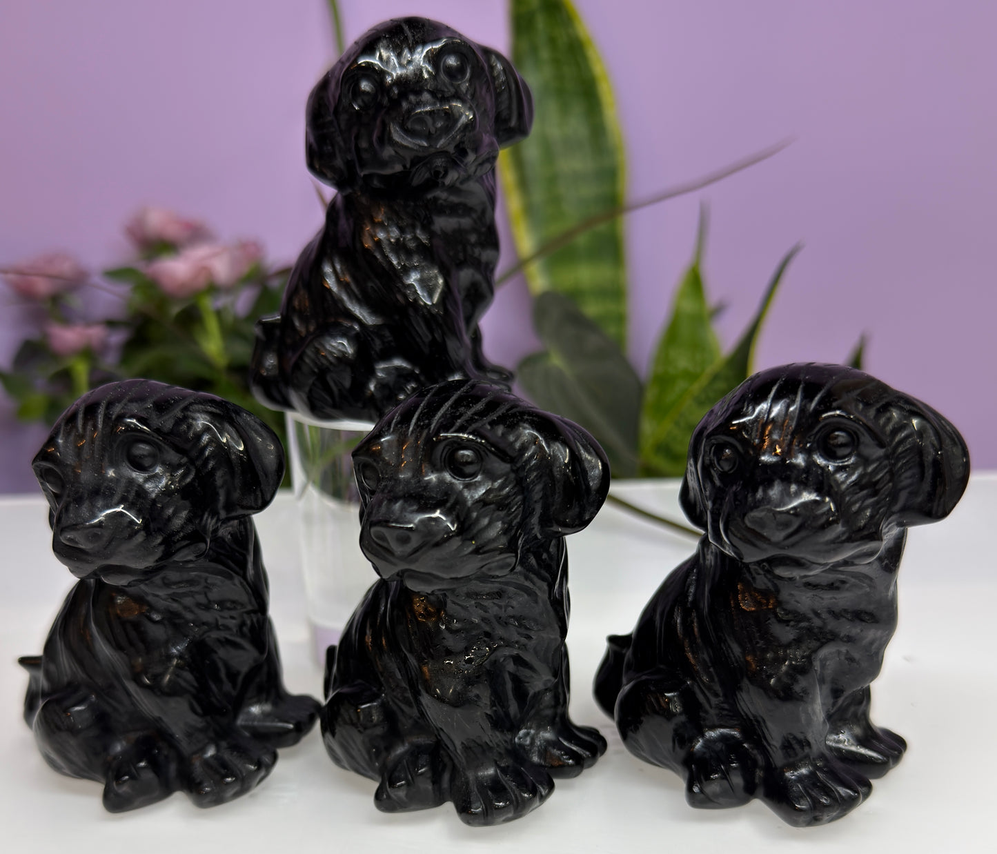 4 PCs 3” Natural Black Obsidian Dog Crystals Healing Energy
