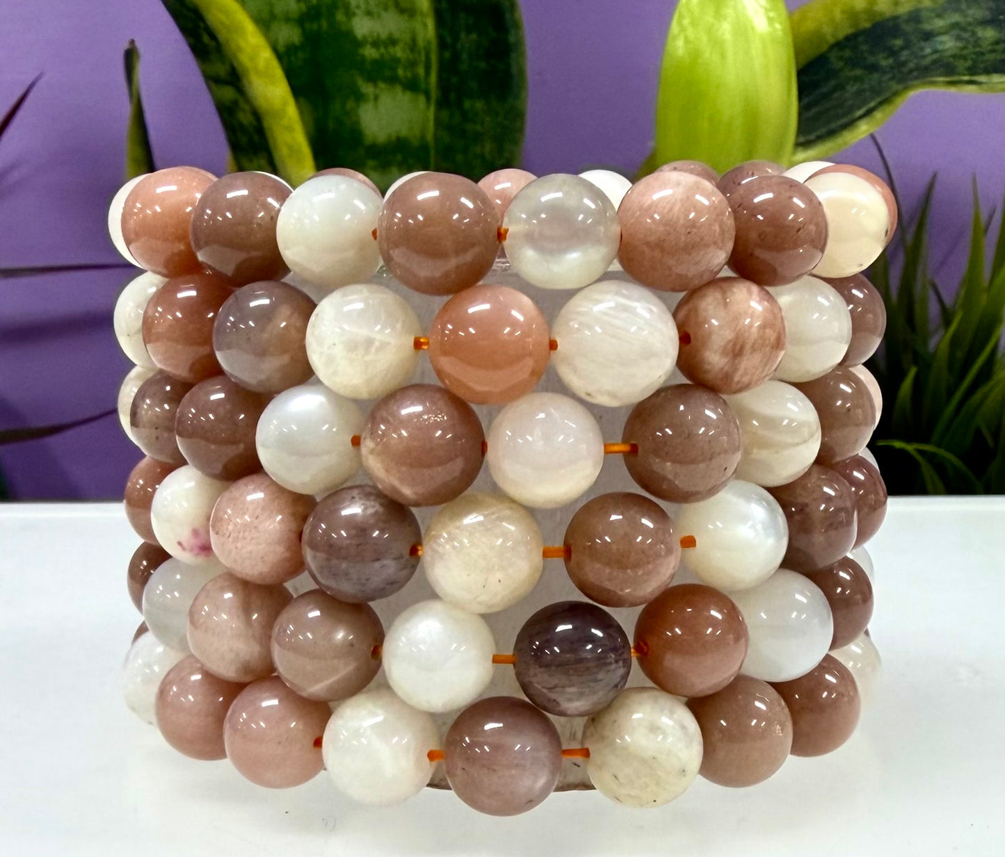Wholesale Lot 6 Pcs Natural Mix Moonstone 10mm 8” Stretch Bracelet