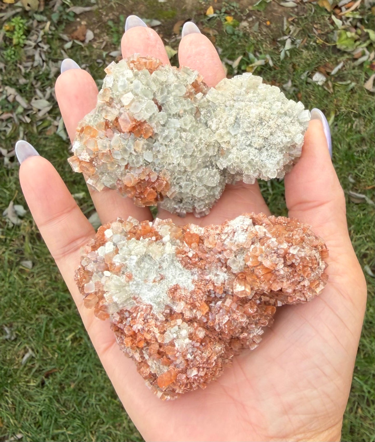Wholesale Lot 2 lb Natural Aragonite Cluster Raw Crystal