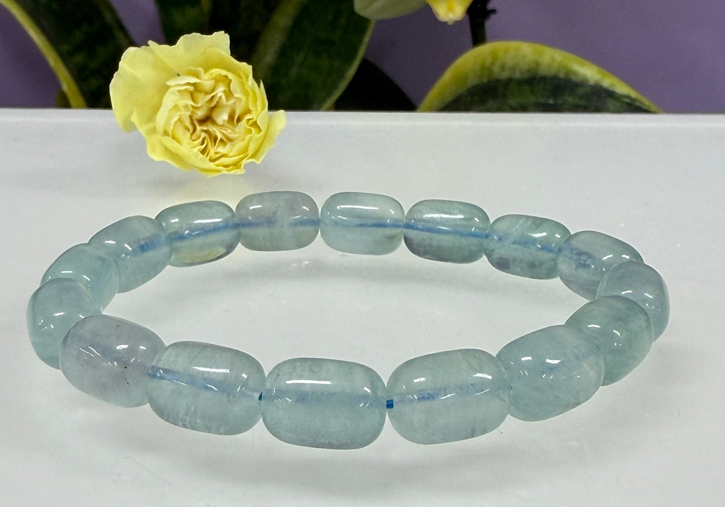 Wholesale 6 Pcs 8x12mm Natural Fluorite 7.5” Crystal Healing Stretch Bracelet
