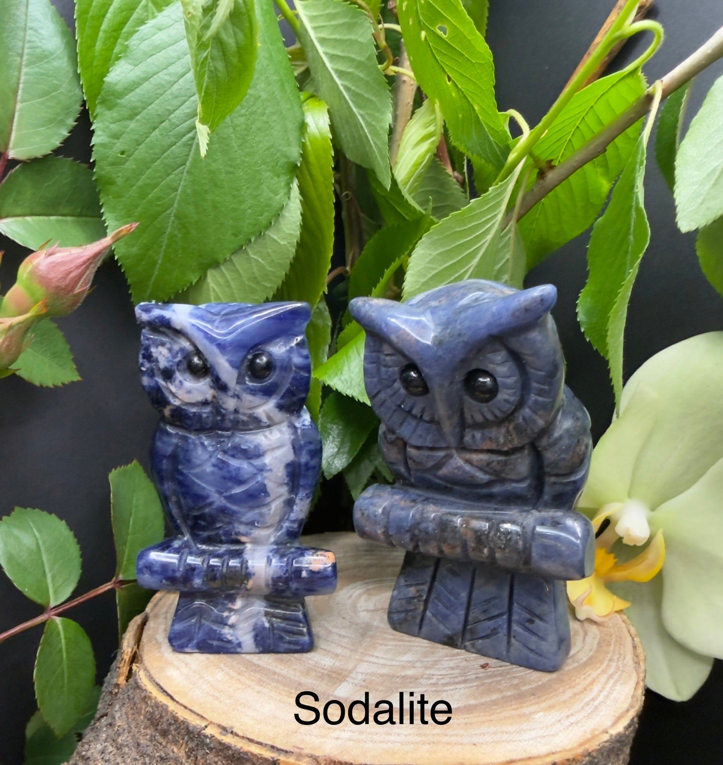 8 PCs Mixed Natural Crystal Owls Healing Energy