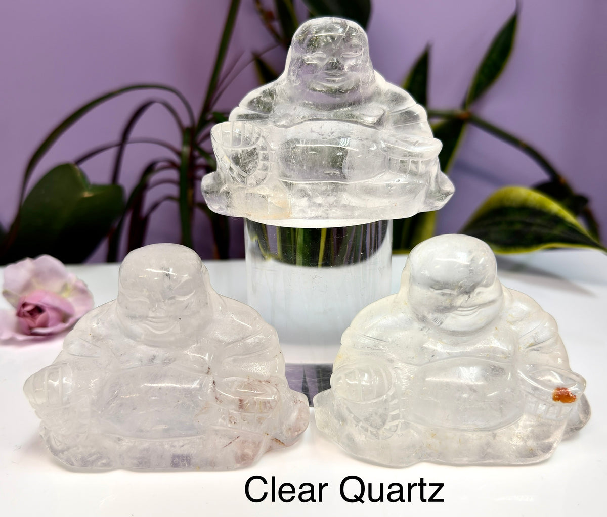 Wholesale Lot 8cm Mixed Natural Crystals Buddha Energy Healing