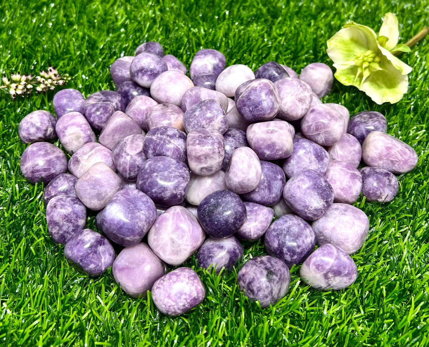 Wholesale Lot 2 Lbs Natural Lepidolite Tumble Healing Energy Nice Quality