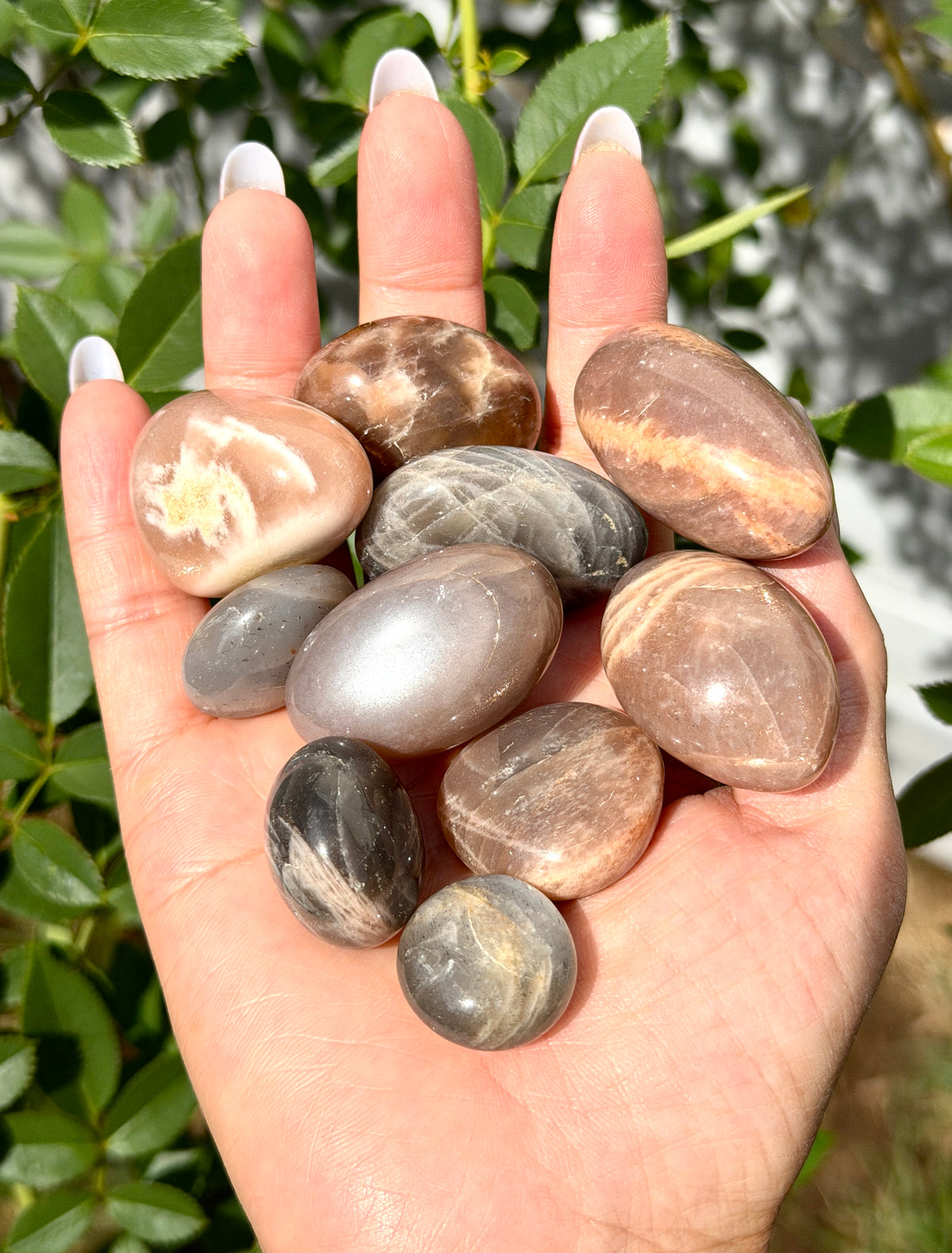 Wholesale Lot 1 lb Natural Black Moonstone Sunstone Tumble Healing Energy Nice Quality