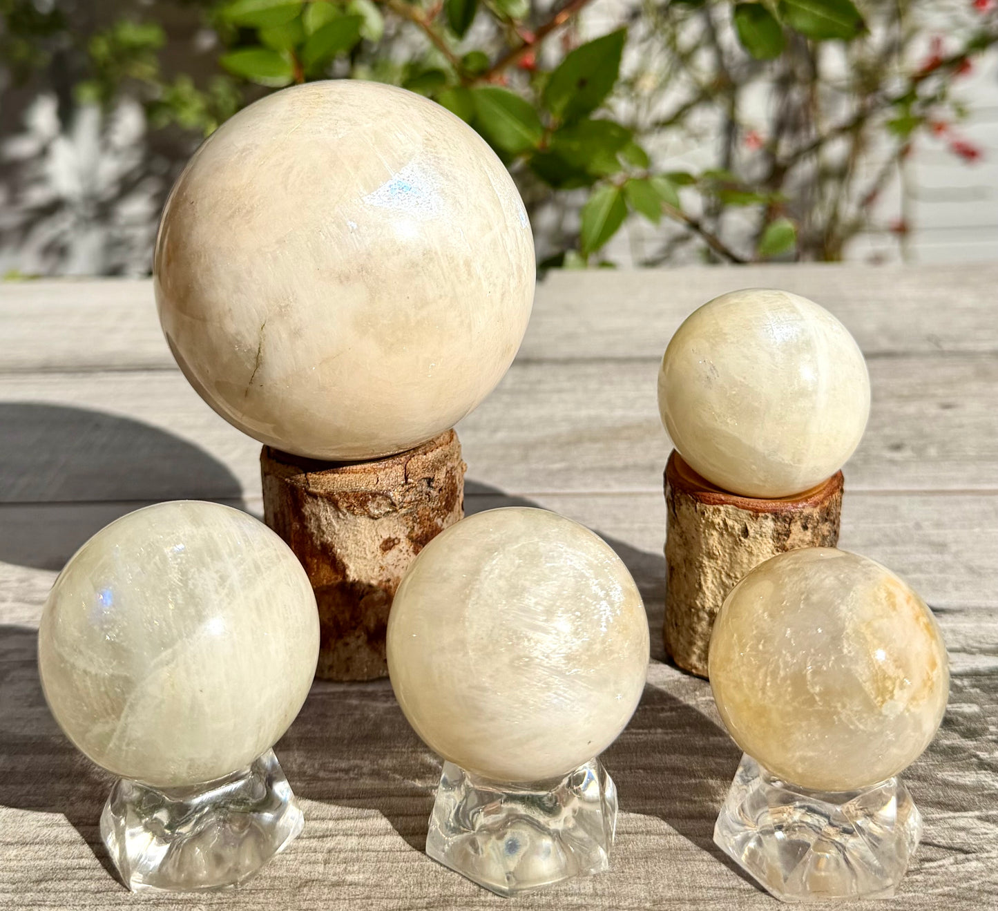 Wholesale Lot 5 Pcs Natural Moonstone Spheres Crystal Ball 1.9-2 Lb Healing Energy