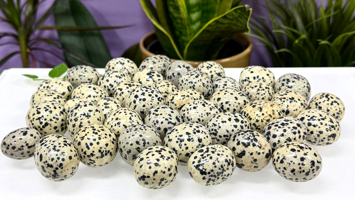 2 lbs Natural Dalmatian Jasper Tumble Crystal Healing Energy