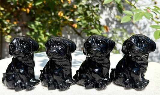 4 PCs 3” Natural Black Obsidian Dog Crystals Healing Energy