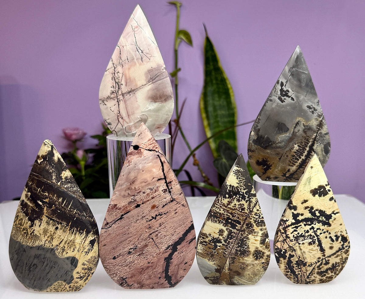 6PCs Natural Picture Jasper Freeform Crystal Healing