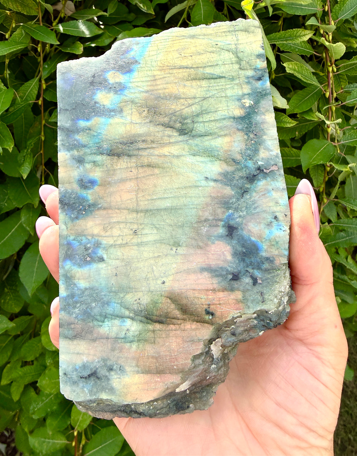 Wholesale Lot 4-5 pcs Natural Labradorite Slab Crystal Healing Energy