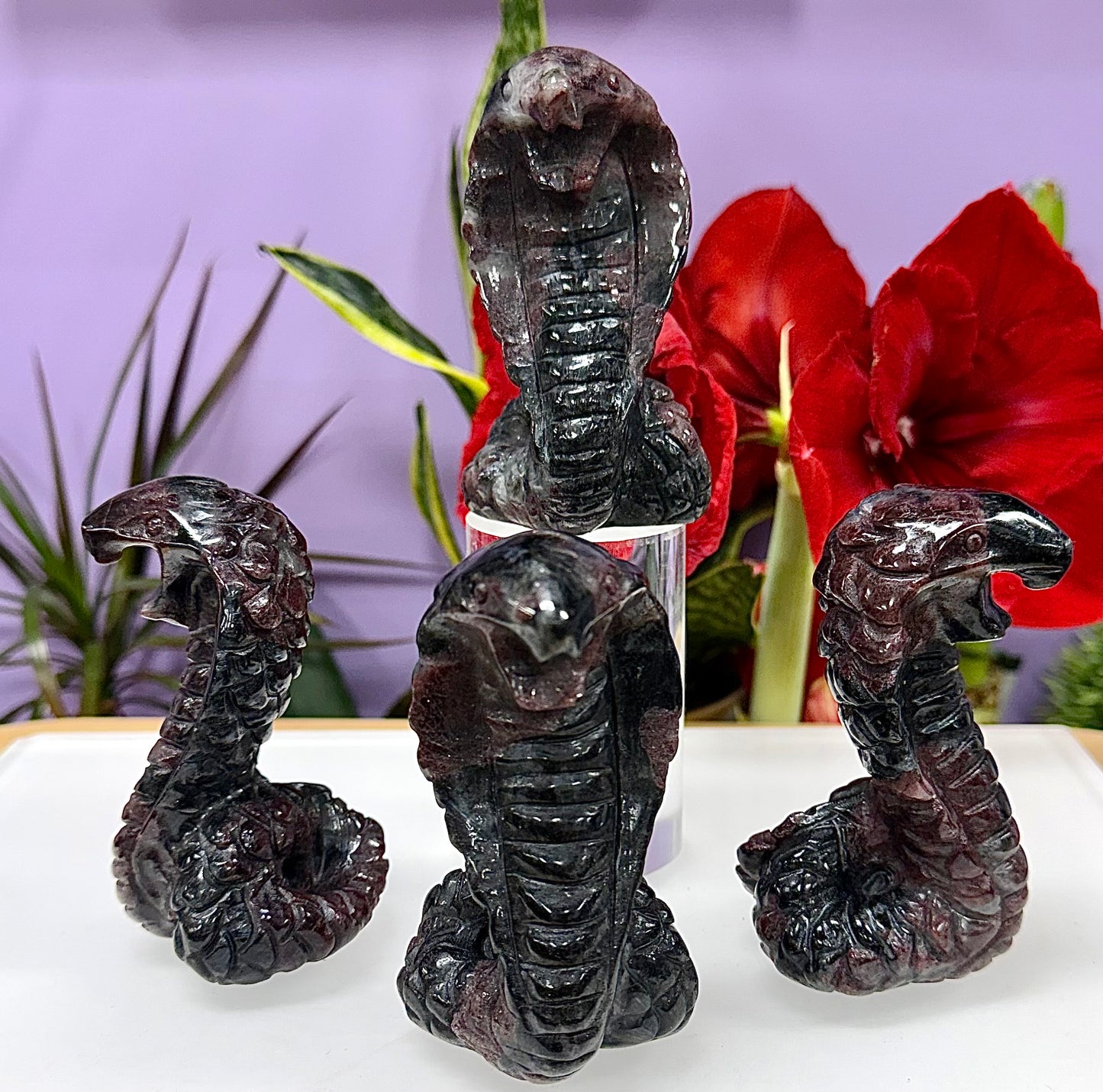 4 PCs Natural Garnet Astrophyllite / Arfvedsonite Coba Snake Crystal healing energy