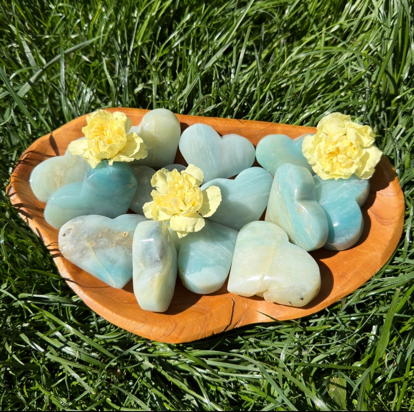Wholesale Lot – 2 lbs Natural Amazonite Heart Carvings Crystal Healing Energy