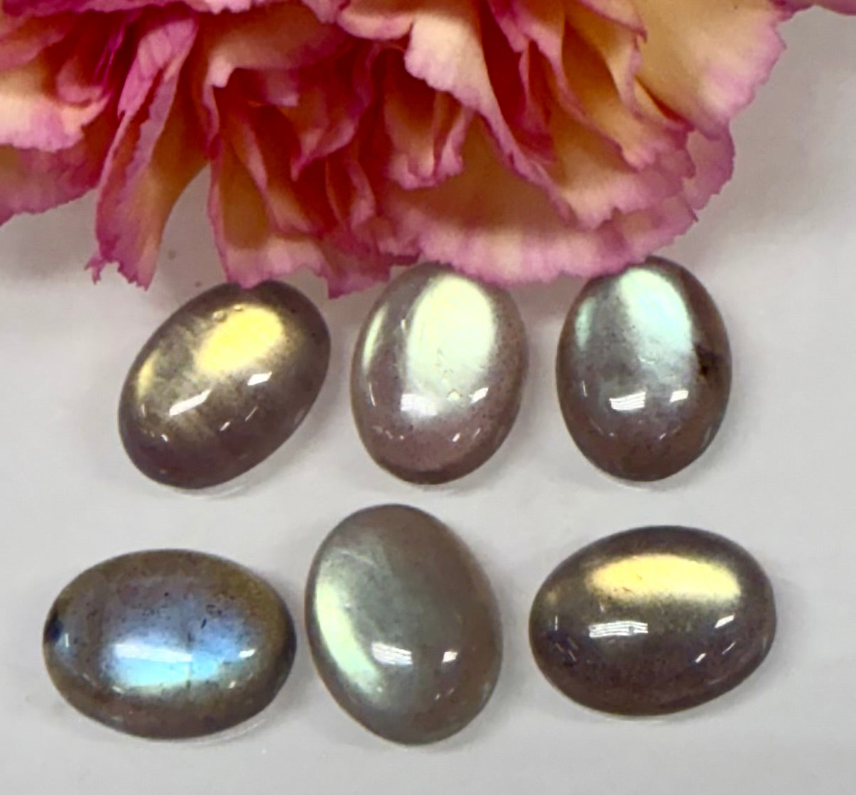Wholesale Lot 6 pcs Natural Labradorite Cabochon Crystal Healing Energy ~12x16mm