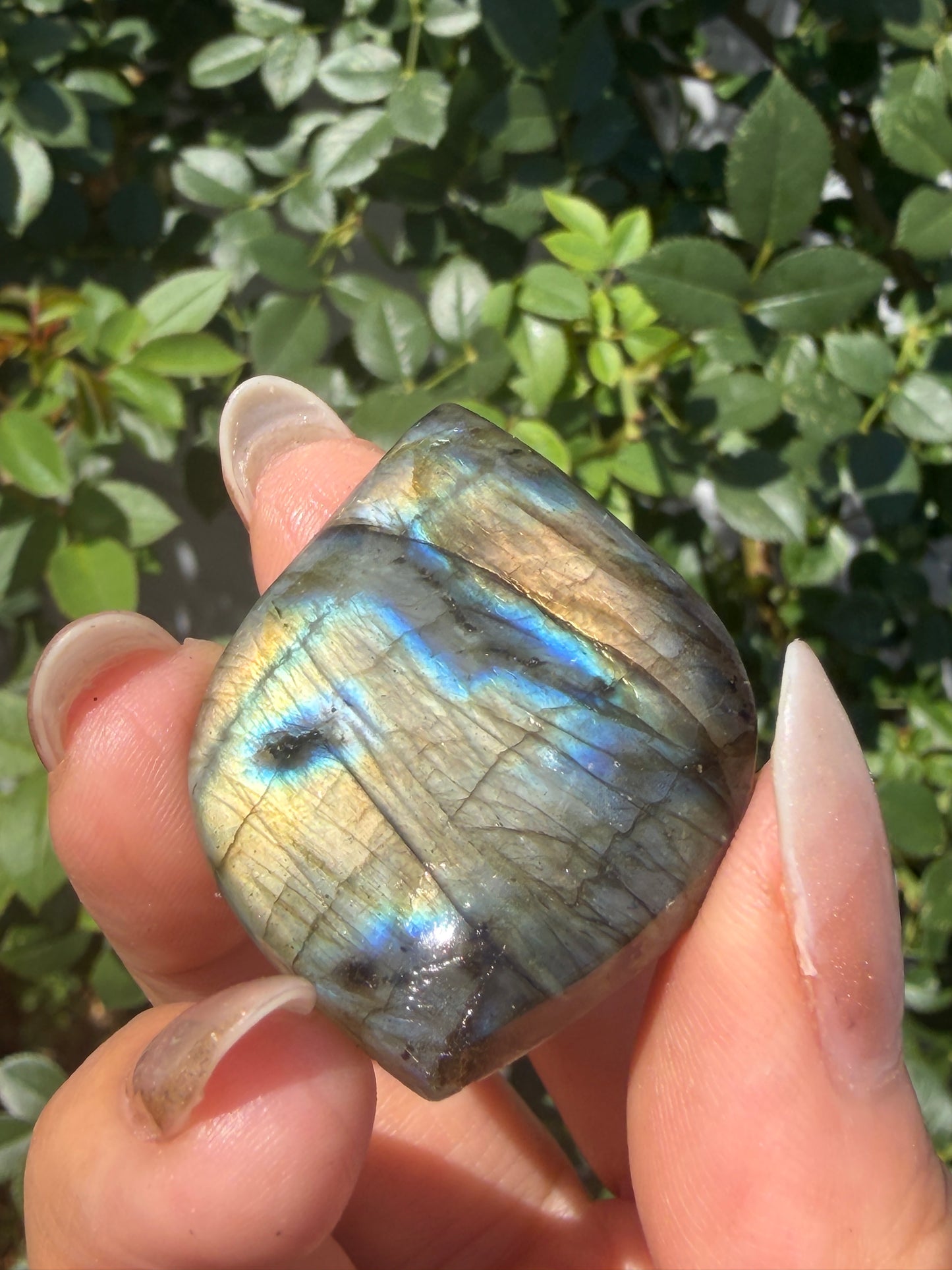 Wholesale Lot 12 pcs Natural Labradorite Cabochon Crystal Healing Energy