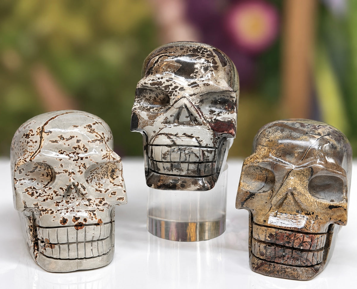 Wholesale lot 3 Pcs Natural Picture Jasper Crystal Skulls Healing Energy