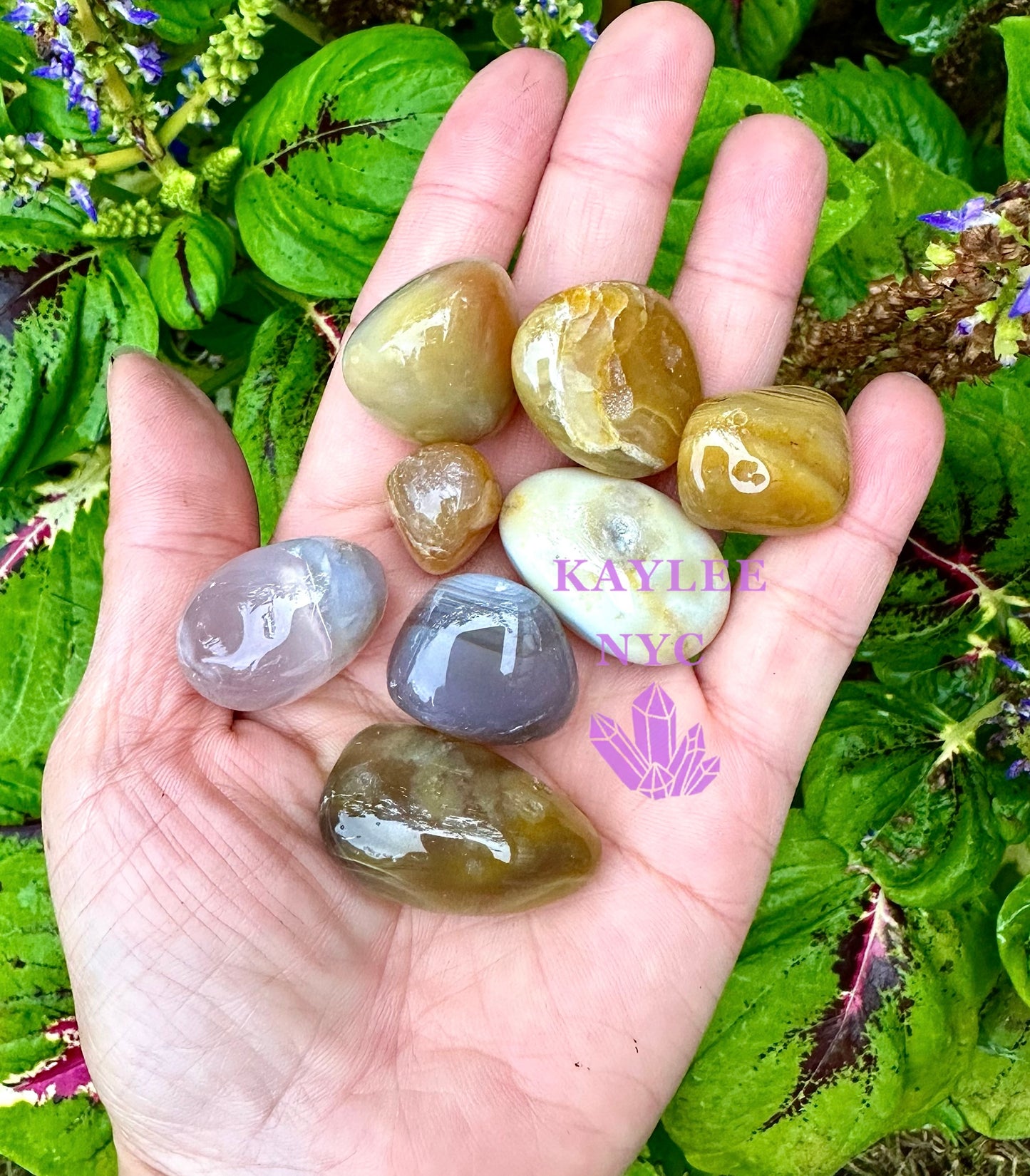 2 lbs Natural Botswana Agate Tumble