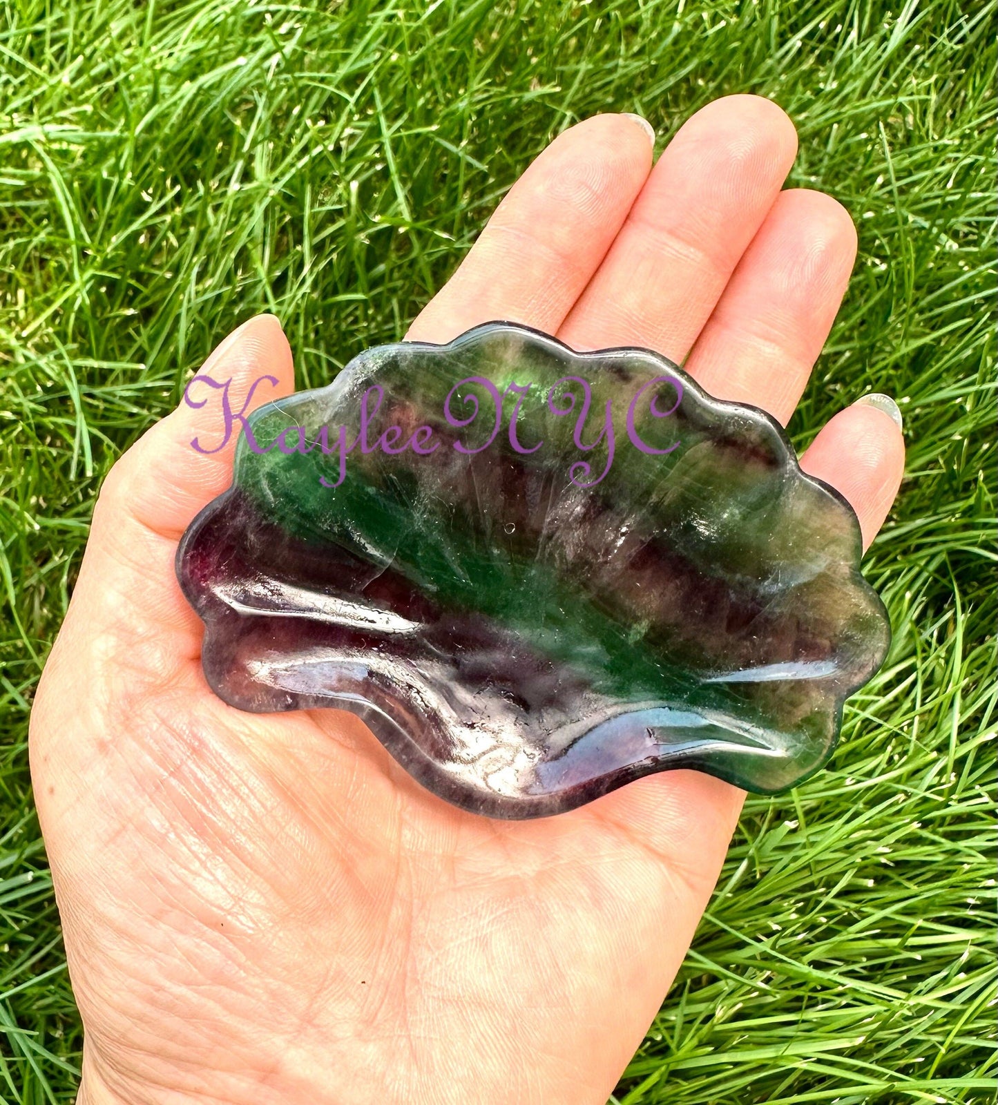 Wholesale Lot 4-6 pcs Natural Fluorite Shell Bowls Crystal Healing Energy 1.9-2lbs