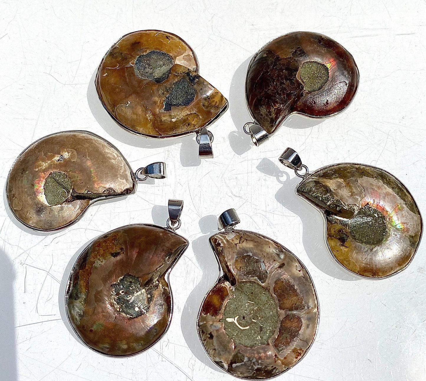 Wholesale Lot 6 Pcs Natural Ammonite Pendant Healing Crystal Energy