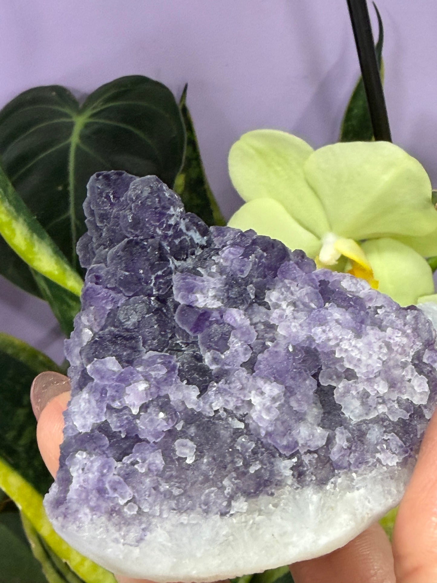 6-8 pcs Natural Purple Fluorite Quartz specimen Crystal