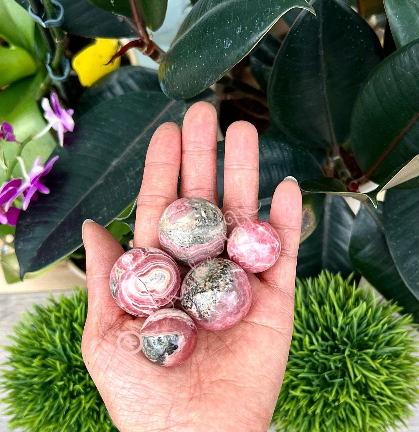 Wholesale Lot 1 lb Natural Rhodochrosite Spheres Crystal Ball Energy Healing