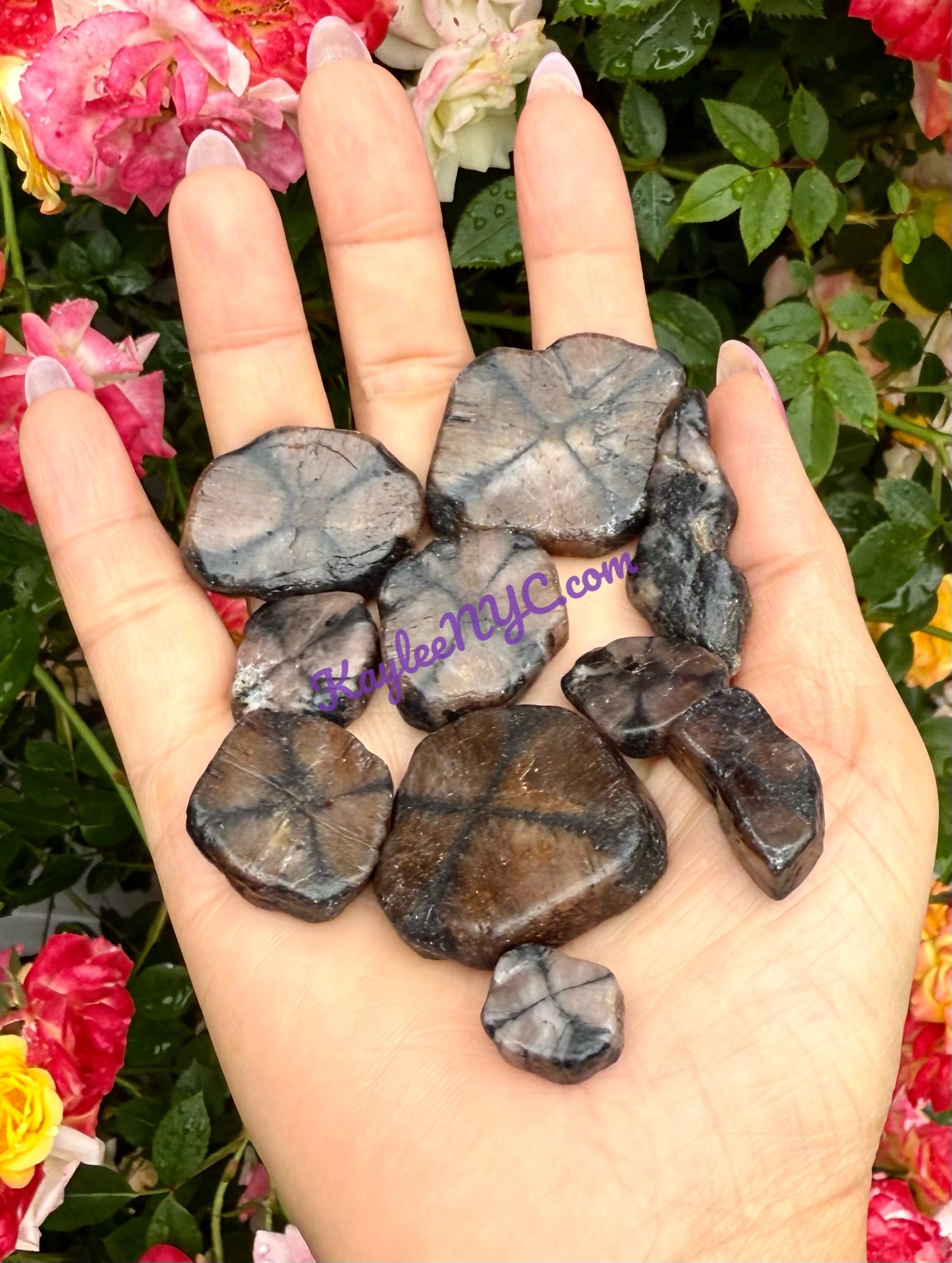 Wholesale Lot 1 lb Natural Chiastolite Tumble Crystal Healing Energy Nice Quality