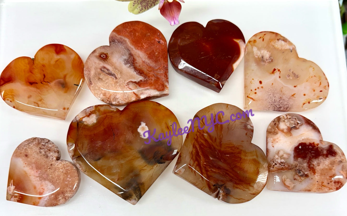Wholesale Lot 2 lbs Natural Carnelian Flower Agate Heart Crystal Healing Energy