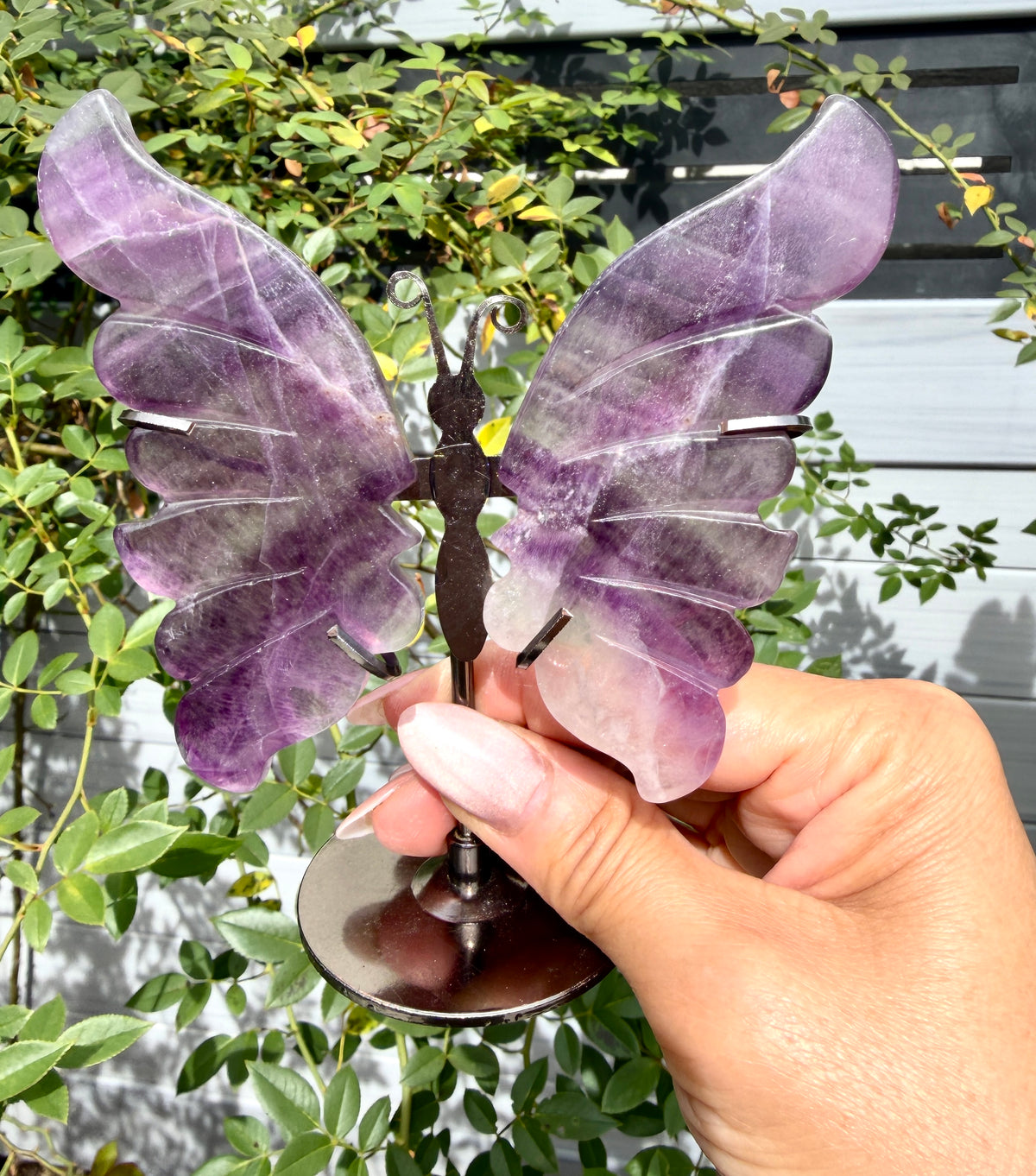 Wholesale Lot 4 PCs Natural Fluorite Crystal Butterfly w/stand Healing Energy