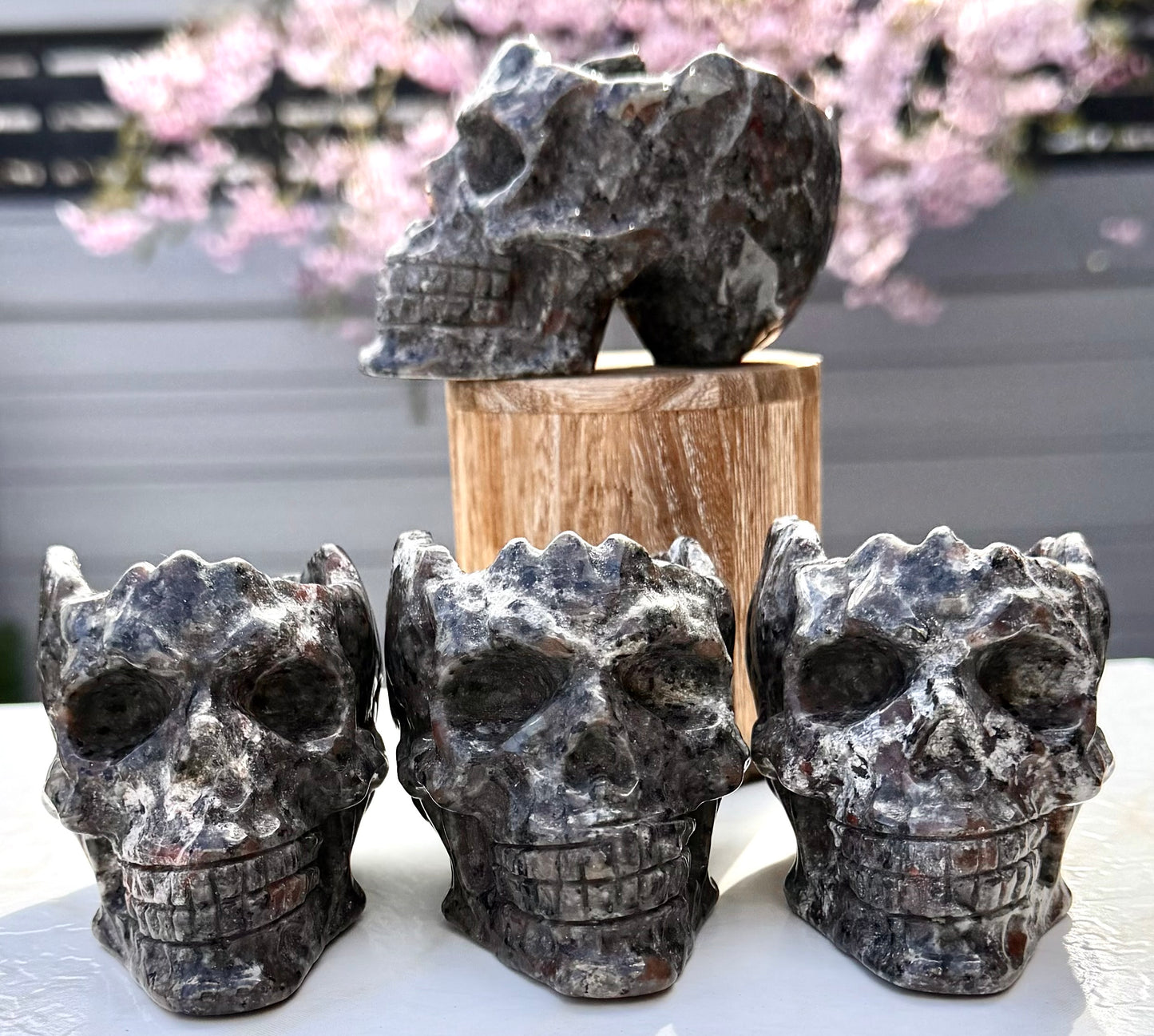 Wholesale lot 4 Pcs Yooperlite aka Emberlite Skull Bowl Natural Crystal healing energy