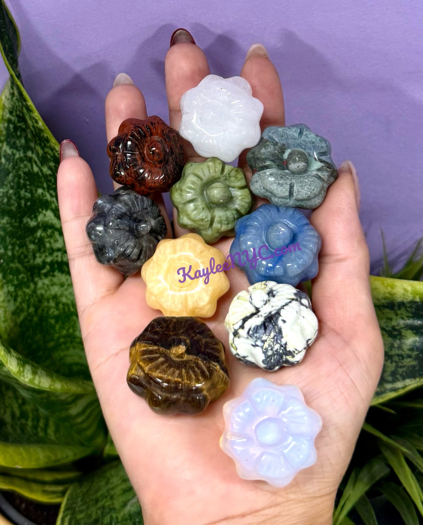 10 PCs 1.3” mix Crystals Pumpkin healing energy