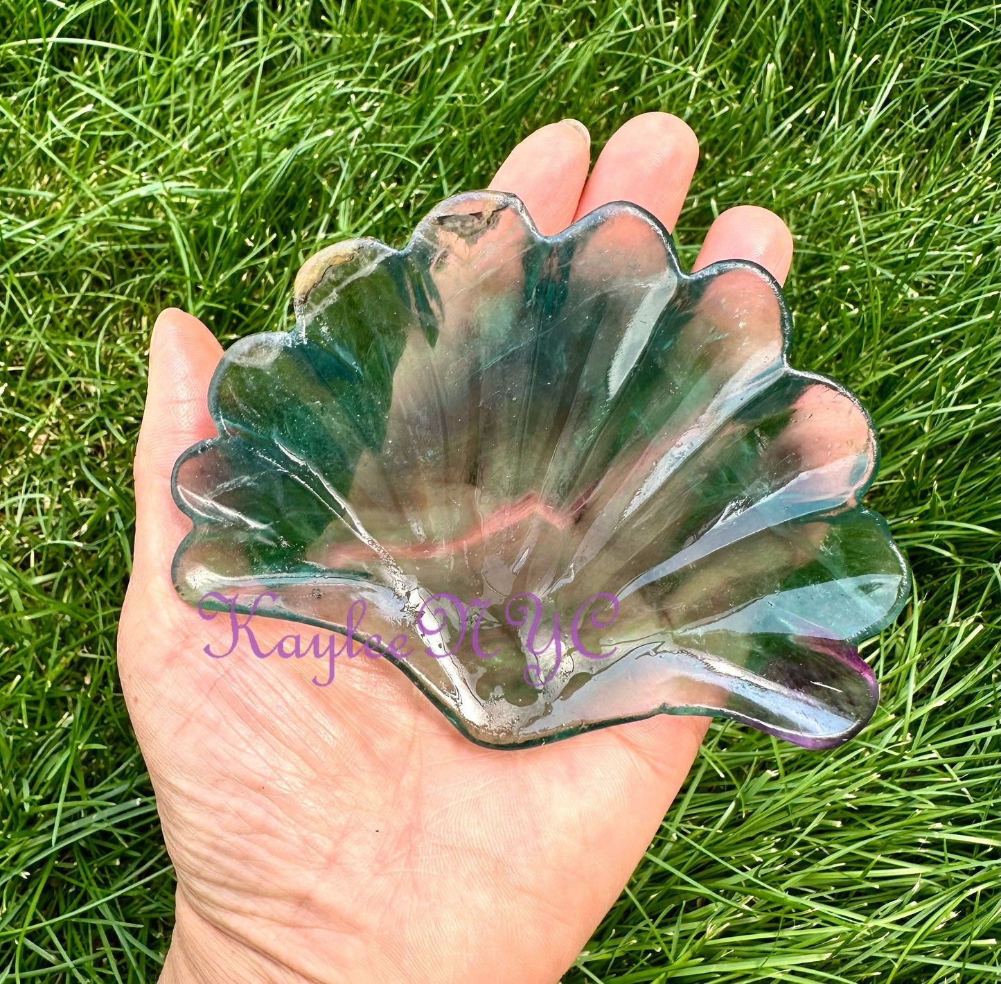 Wholesale Lot 4-6 pcs Natural Fluorite Shell Bowls Crystal Healing Energy 1.9-2lbs