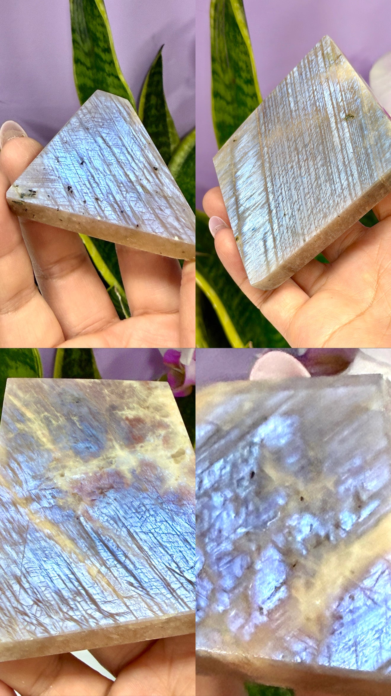Wholesale Lot 2 lbs Natural Moonstone Slab Crystals healing energy