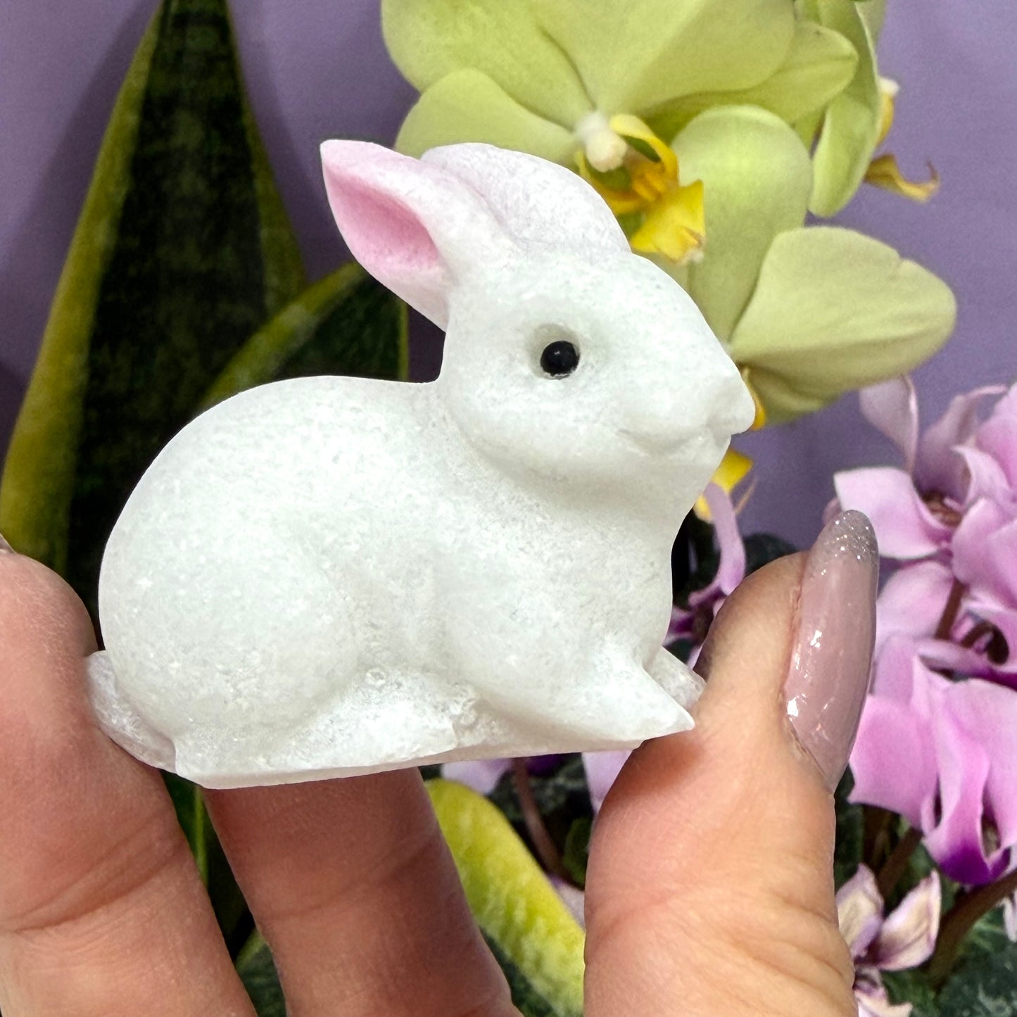 8 PCs Natural Snow Quartz Rabbit Bunny Crystals Healing Energy 5cm
