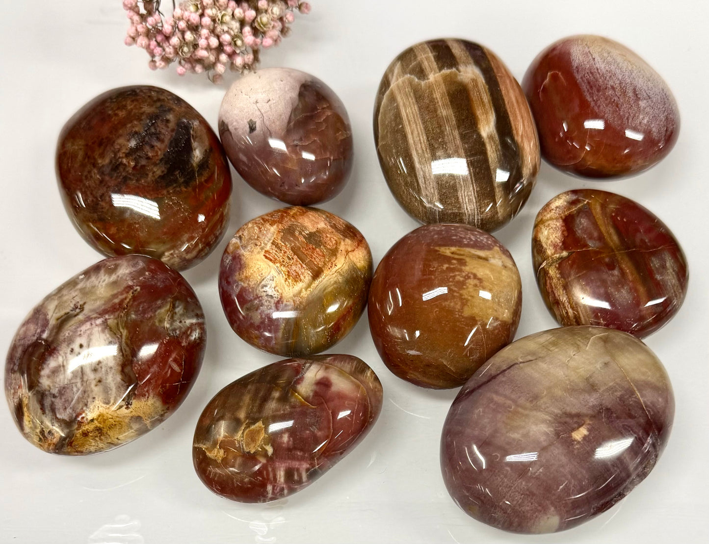 Wholesale 2 Lb Lot Natural Petrified Wood Palm Stones Crystal Natural Energy