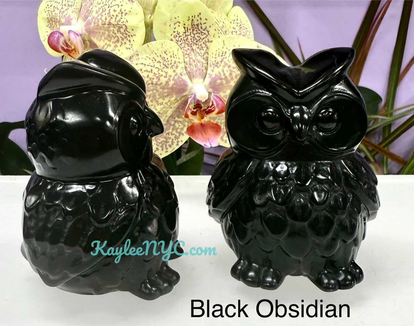 Wholesale Lot 4 pcs Natural Black Obsidian Yooperlite aka Emberlite Owls Crystals Healing Energy