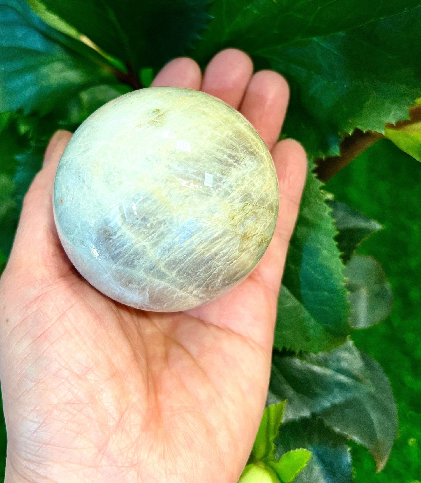 Wholesale Lot 2-3 Pcs Natural Moonstone Spheres Crystal Ball 1.9-2 Lb Healing Energy