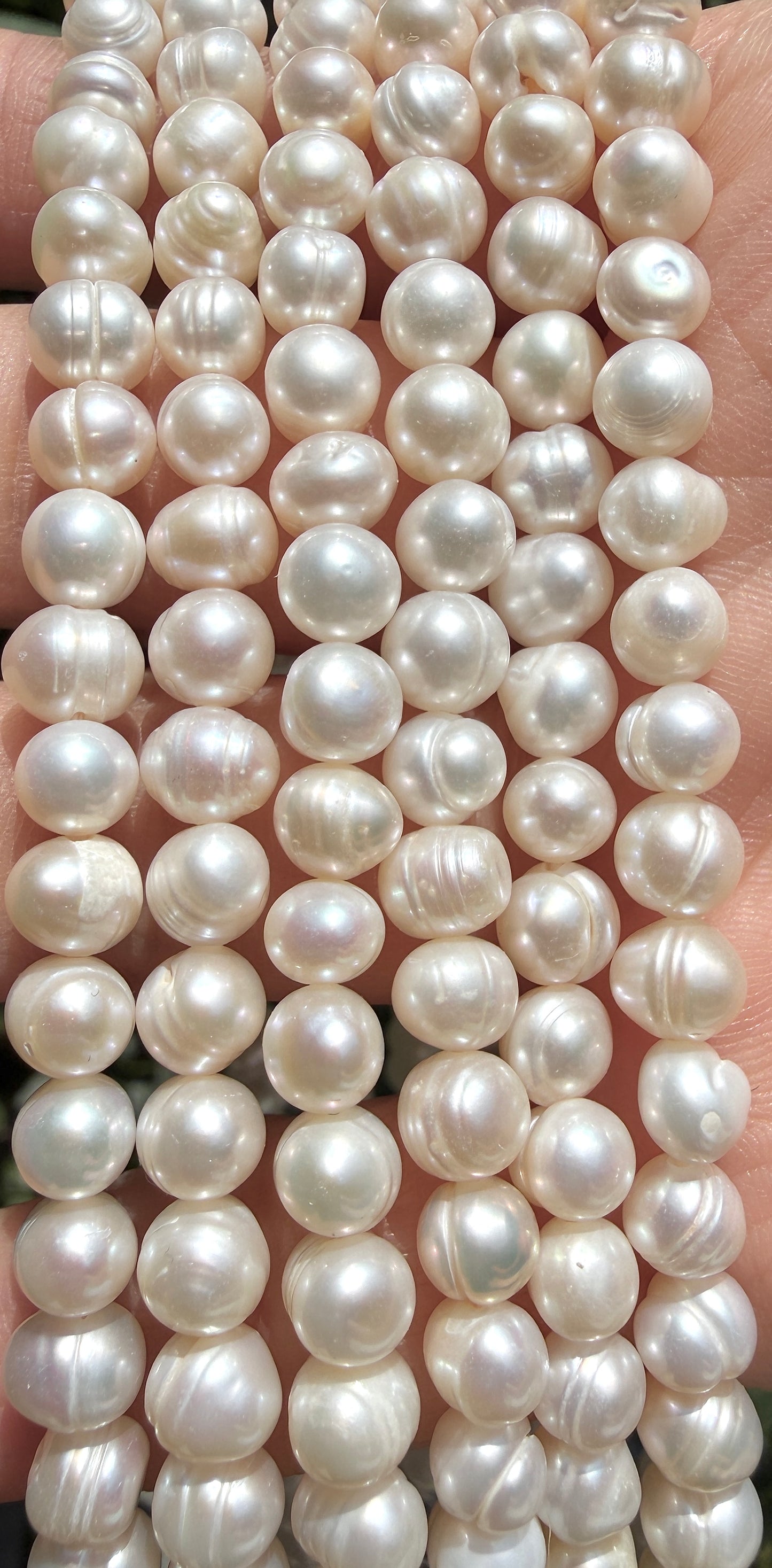 6 PCs 6 pcs ~6.5mm Natural Freshwater Pearl Necklace Healing Energy