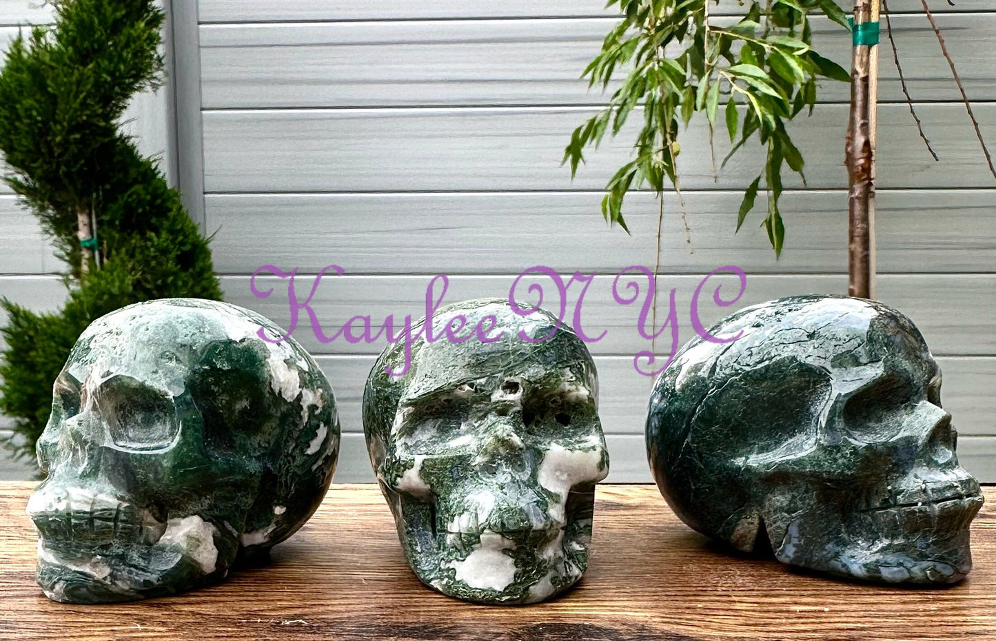 Wholesale lot 3 Pcs Natural Moss Agate Crystal Skulls Healing Energy