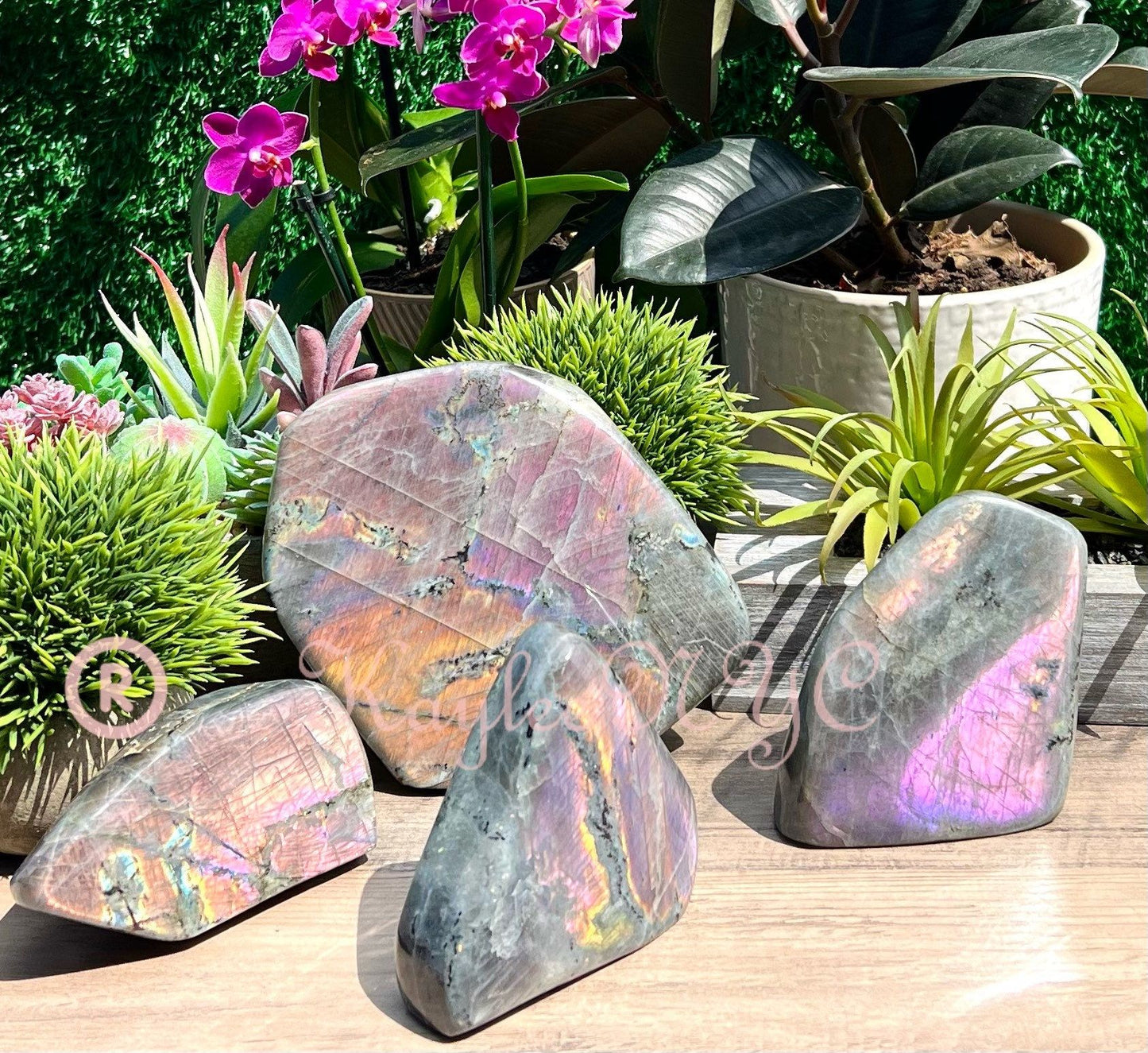 Wholesale Lot 4 to 7 Pcs Natural Sunset Labradorite Free Form Crystal 7.8 lb - 8 lb