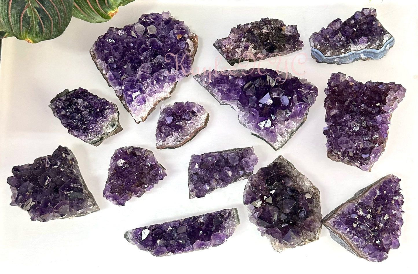 Wholesale Lot 2 lb Natural Amethyst Cluster Raw Crystal