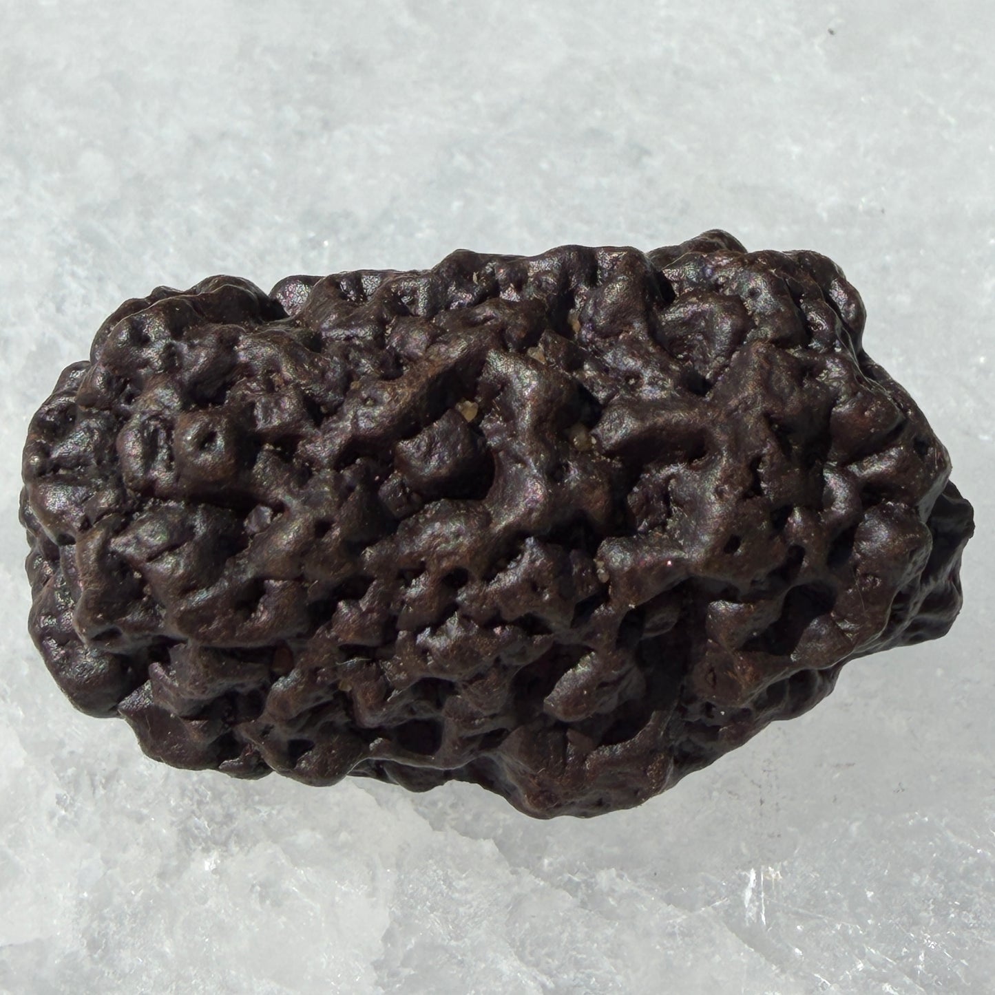Wholesale Lot 2 Lbs Natural Prophecy Stones