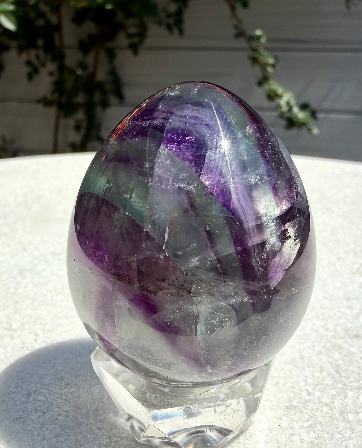 Wholesale Lot 8 pcs Natural Fluorite Egg crystals Healing Enery