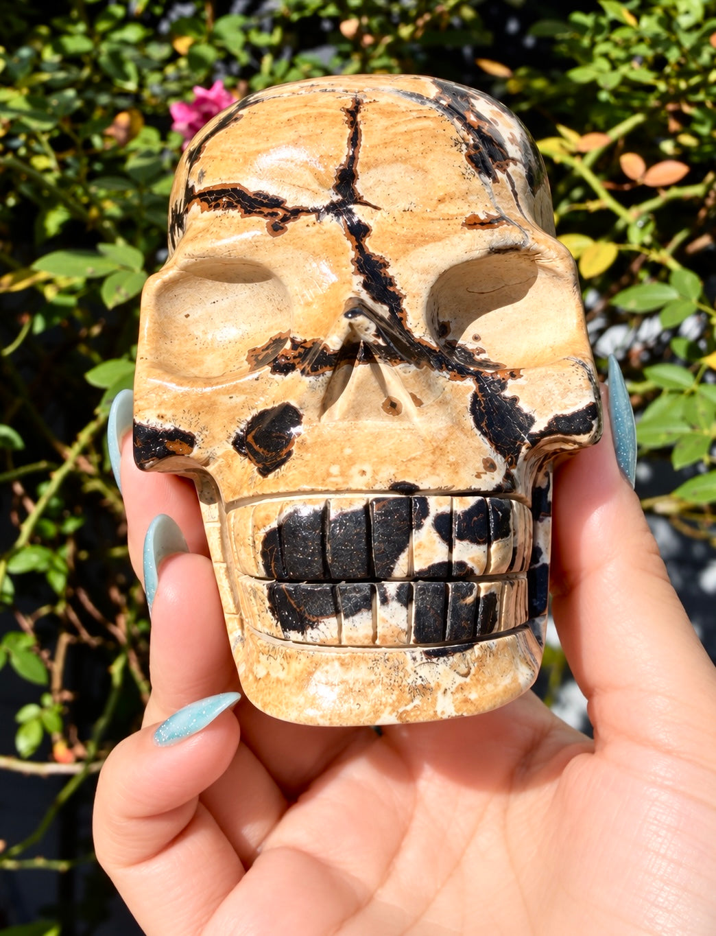 Wholesale lot 3 Pcs Natural Picture Jasper Crystal Skulls Healing Energy